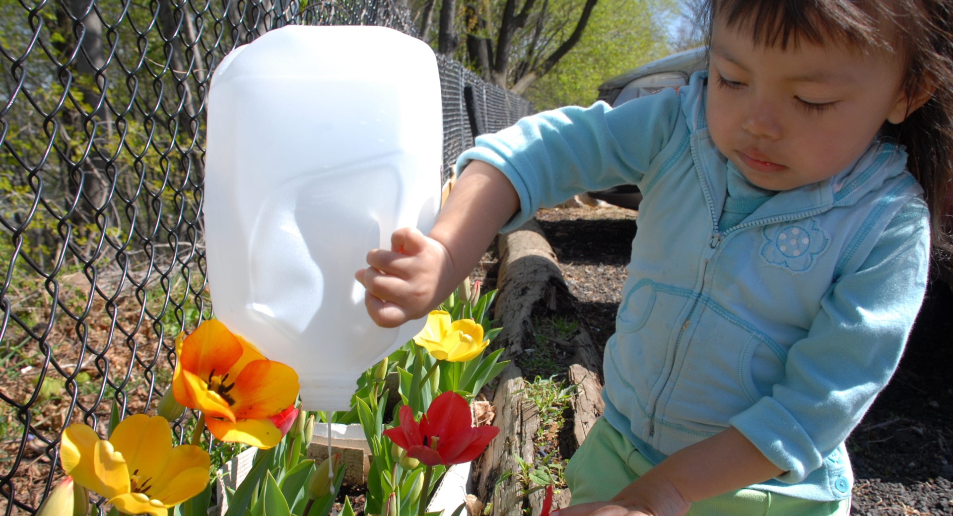 Exploring Your Environment Through Science (BLG)