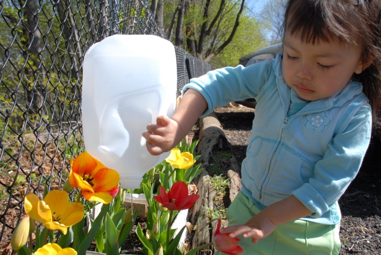 Exploring Your Environment Through Science (BLG)