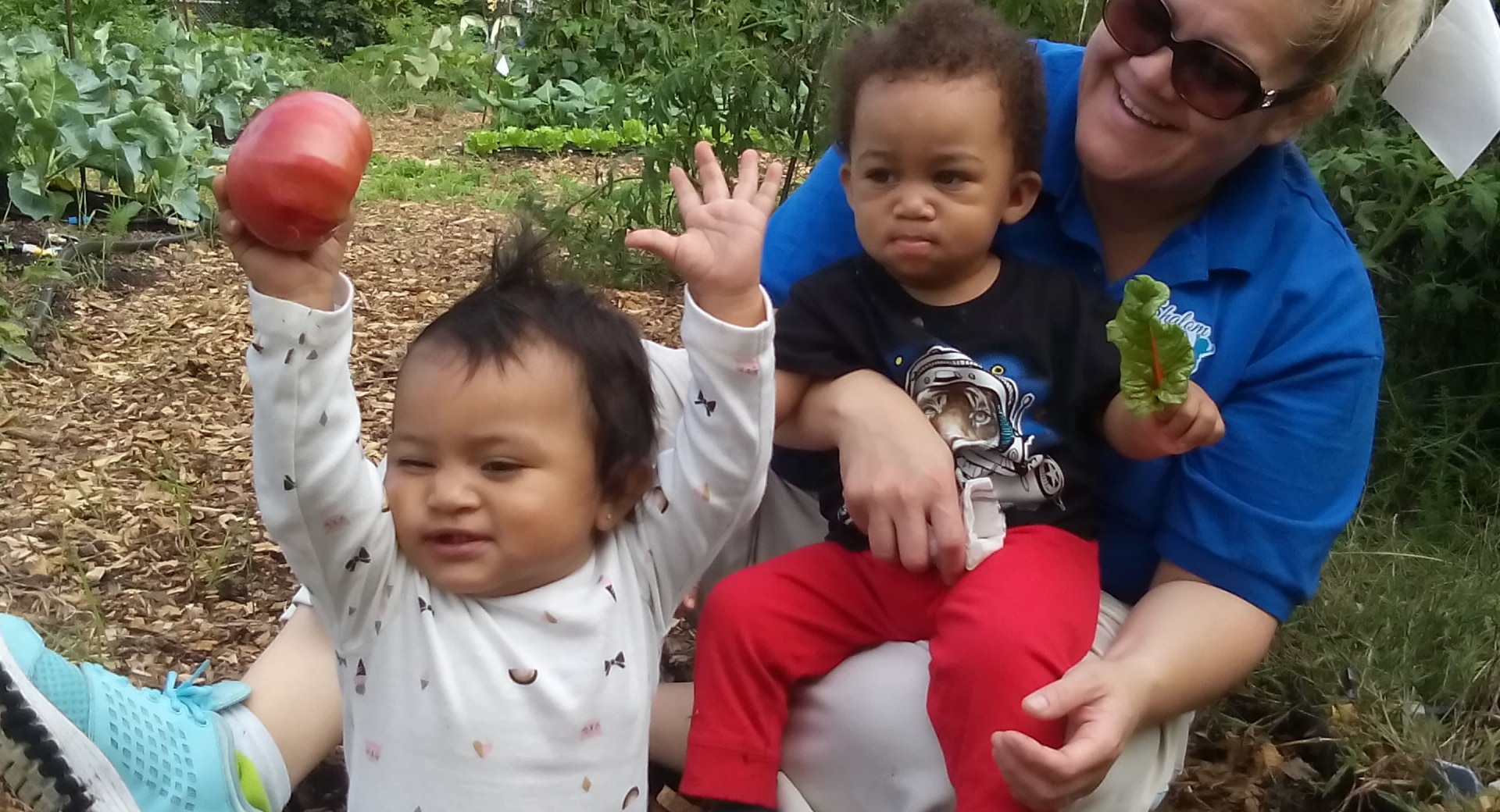 Nap Time Series (BLG)