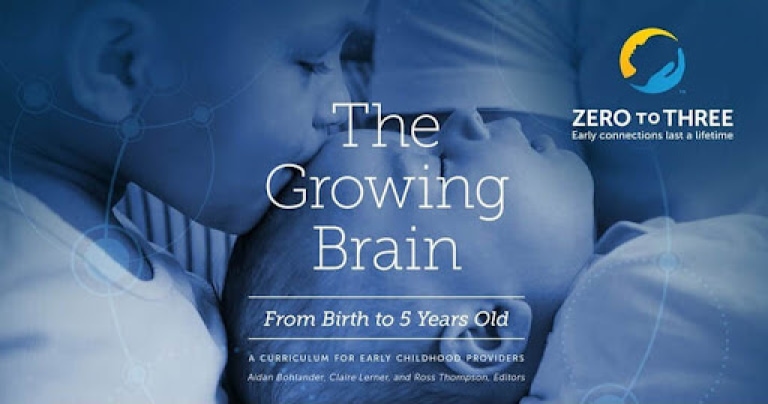 Zero-to-Three The Growing Brain: Unit 1 Brain Basics (BLG)